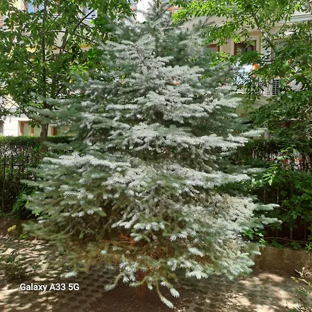 Apartment хермес *